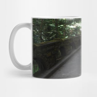 Mossy Bridge Nature Photography Pacific Northwest Mug